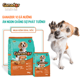 Hạt Ganador Adult Cho Chó Trưởng Thành Vị Gà Quay - Paddy Pet Shop